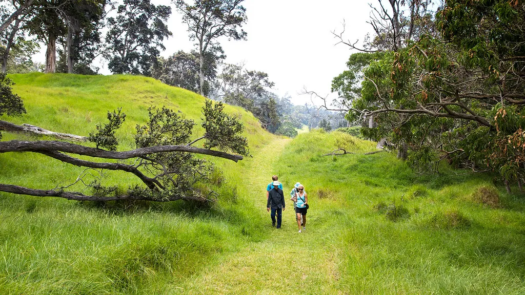 getwildfulnessed.com# – Exploring Nature, and Community!